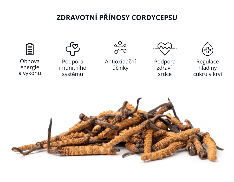 cordyceps inky