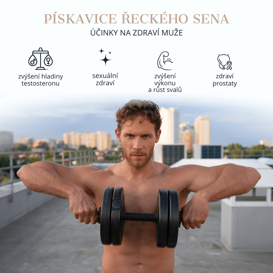 Pskavice eckho sena inky na mue
