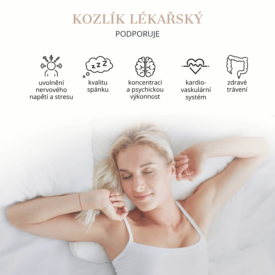 inky kozlku lkaskho